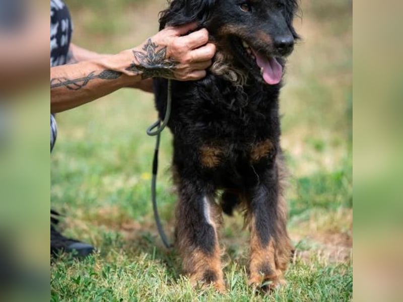 Zeyko