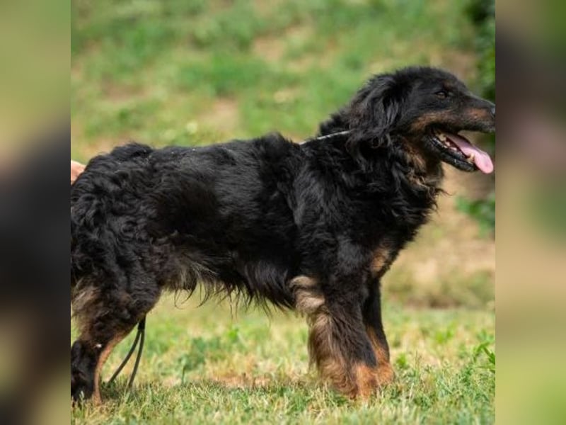 Zeyko
