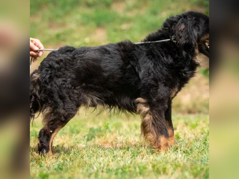 Zeyko