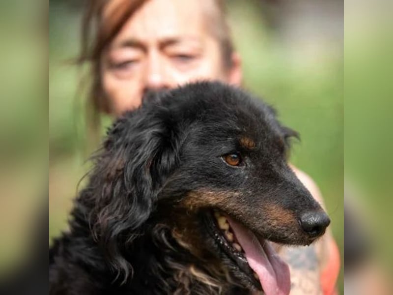 Zeyko