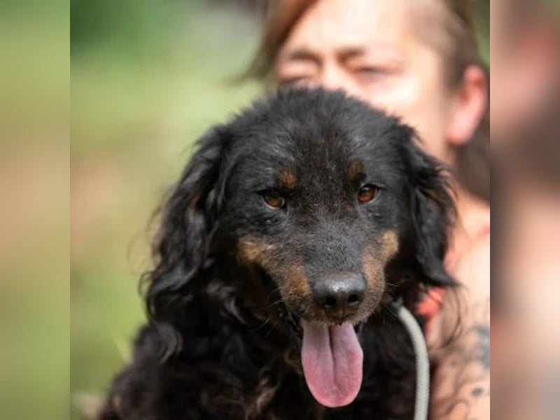 Zeyko