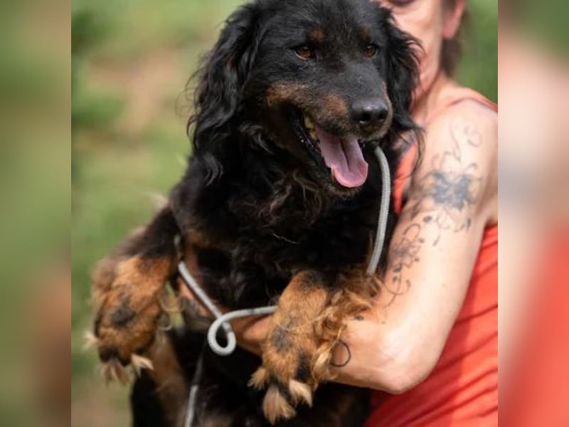 Zeyko