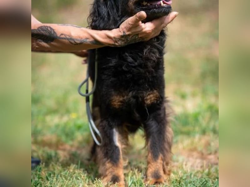 Zeyko