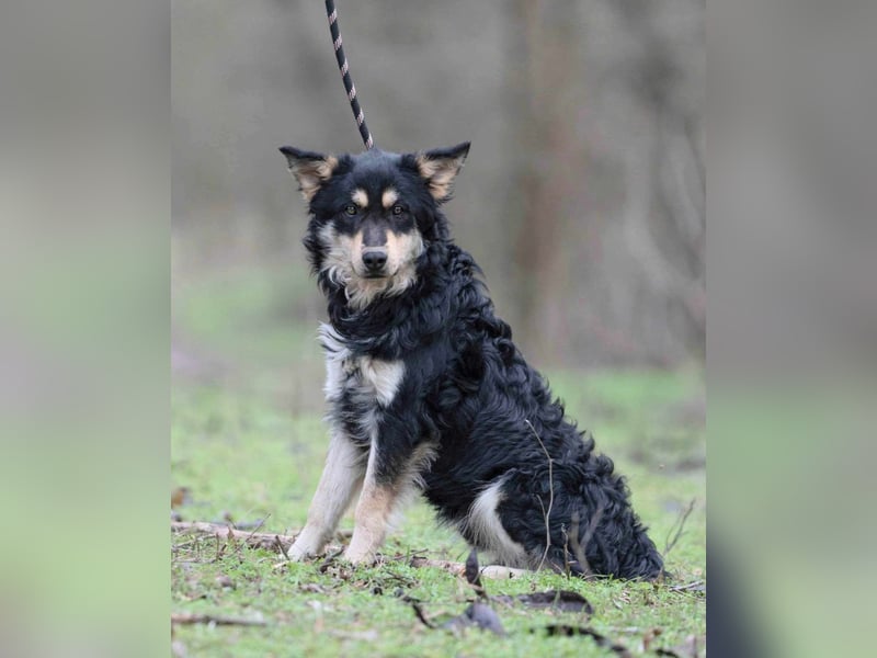 Arthur, geb. 10.03.2024, 48 cm, sucht nach seinen Menschen