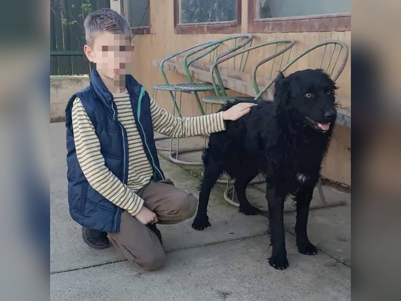 Zorro ein Traumcharakter