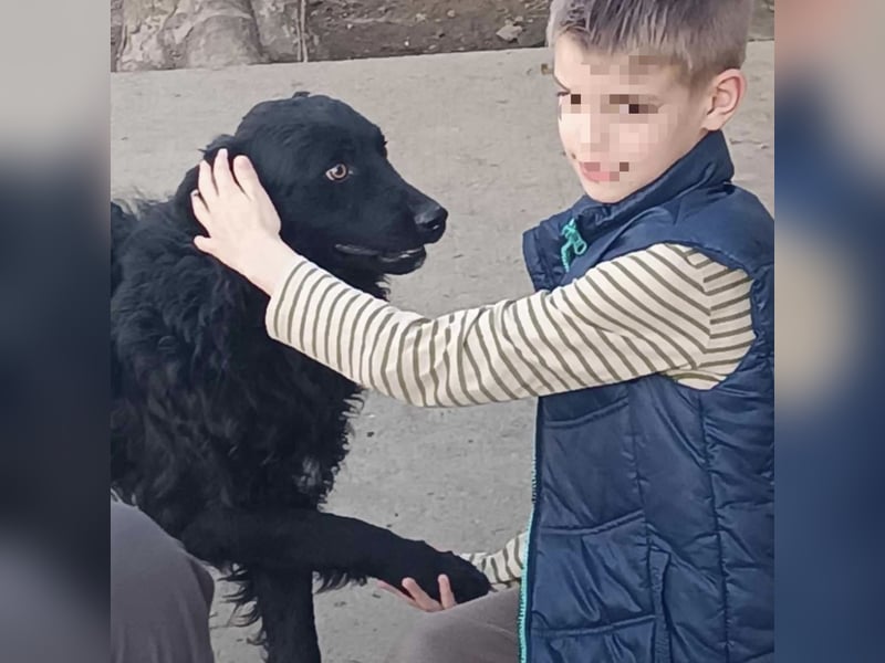 Zorro ein Traumcharakter
