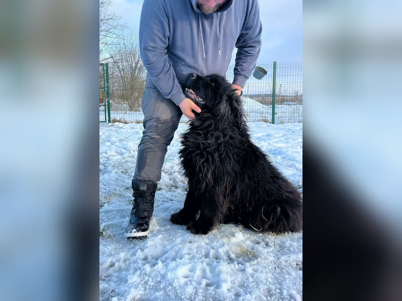 Malakai, geboren 15.06.2020, 67cm sucht sein Zuhause