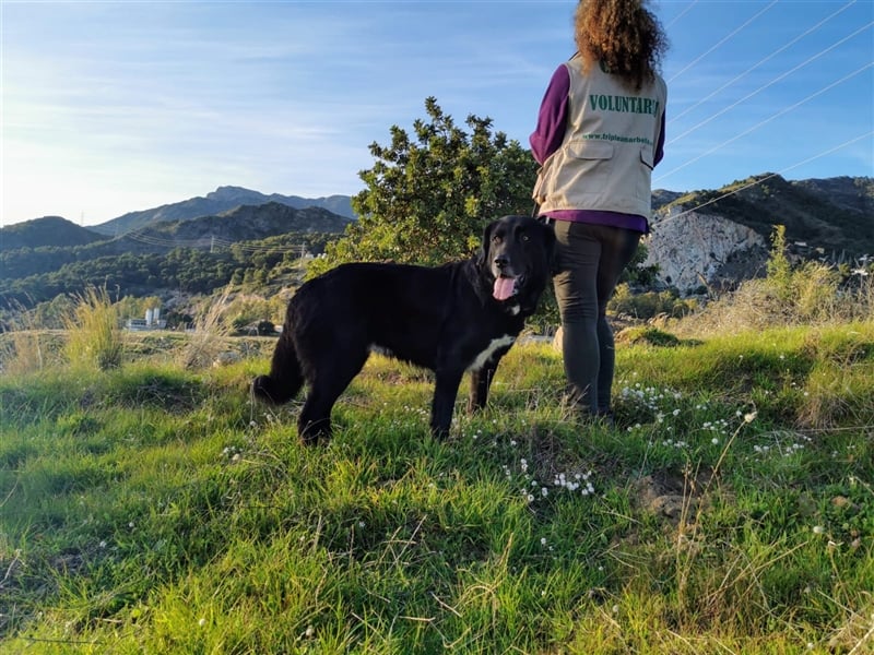 Sita (Spanien) - verschmuster Teddybär