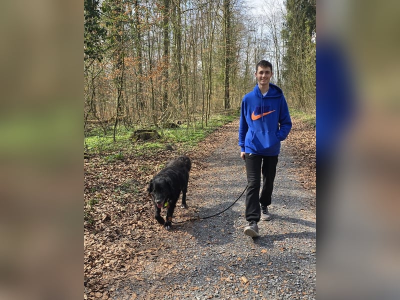 Sandro - kinderlieb, freundlich, gechillt