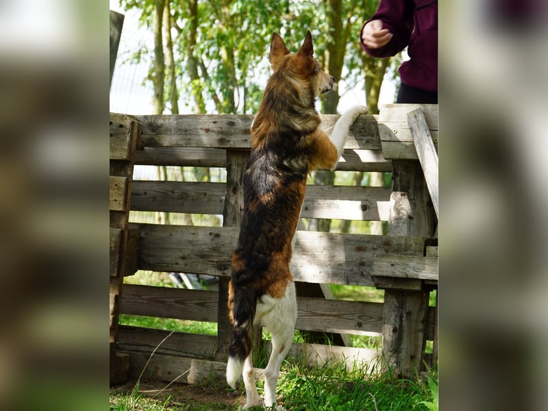 Simon VA, aufgeschlossen, neugierig