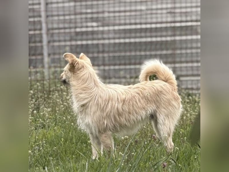 Fritz ein ganz toller kleiner Bub