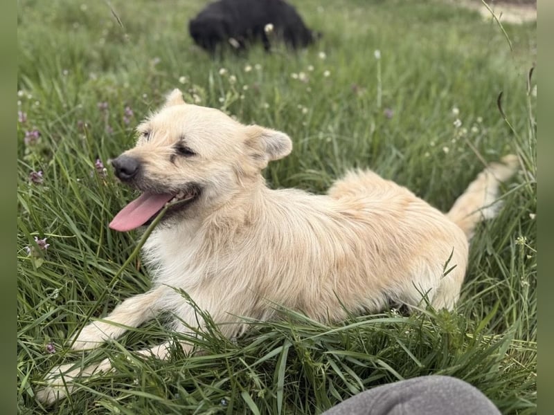 Fritz ein ganz toller kleiner Bub