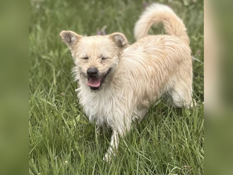 Fritz ein ganz toller kleiner Bub