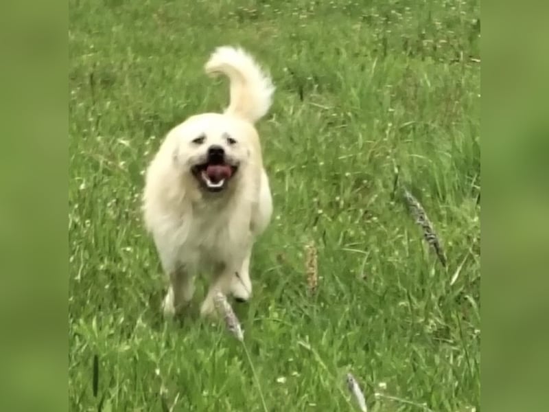 Fritz ein ganz toller kleiner Bub