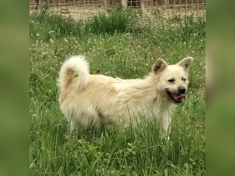 Fritz ein ganz toller kleiner Bub
