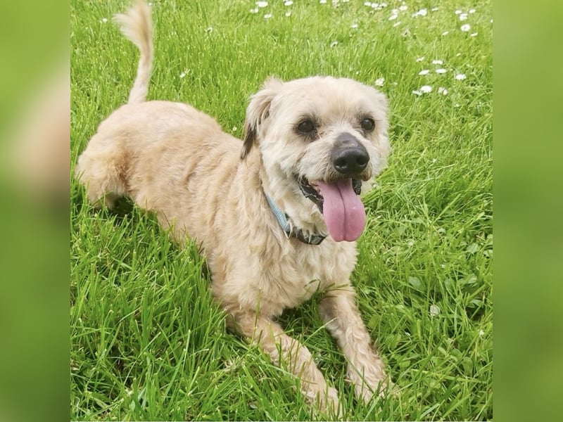 Burki ein kleiner sportlicher Bub