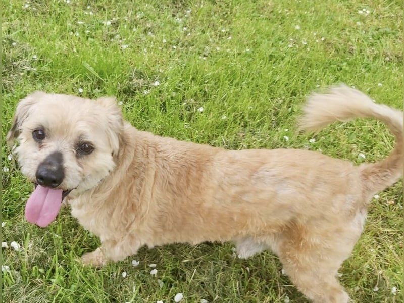Burki ein kleiner sportlicher Bub