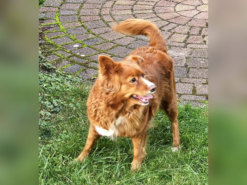 JOY – kleiner Sonnenschein