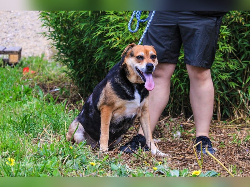 Sanfte Malika - soll nach schweren Zeiten endlich etwas Glück finden !!
