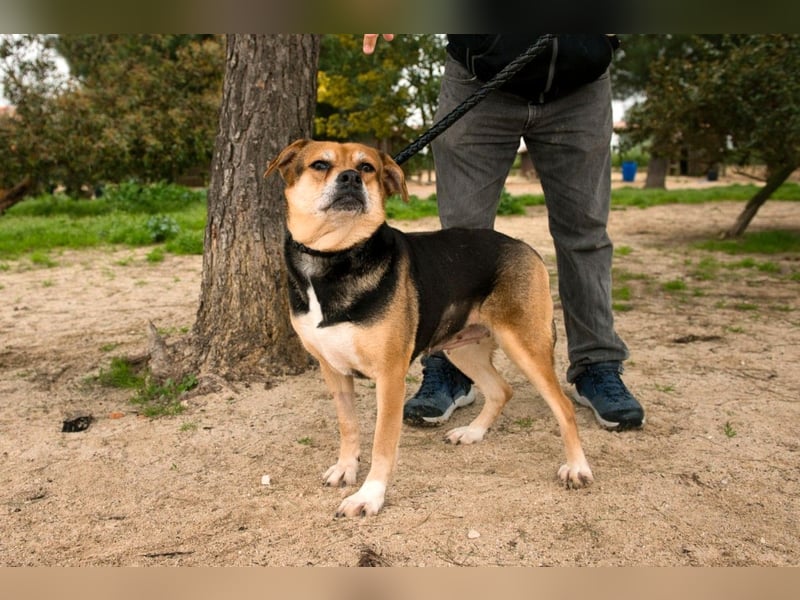 Sanfte Malika - soll nach schweren Zeiten endlich etwas Glück finden !!