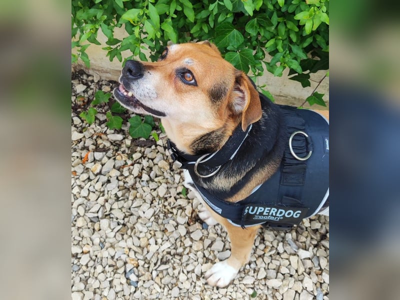 Sanfte Malika - soll nach schweren Zeiten endlich etwas Glück finden !!