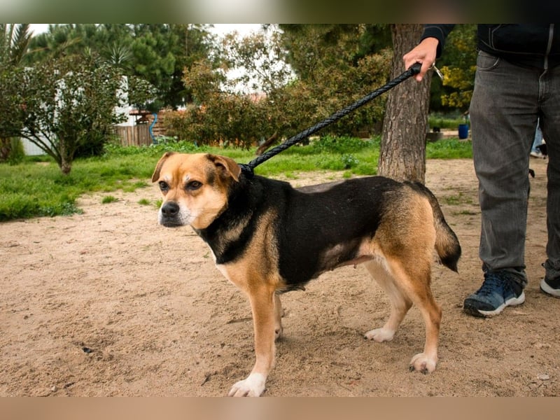 Sanfte Malika - soll nach schweren Zeiten endlich etwas Glück finden !!