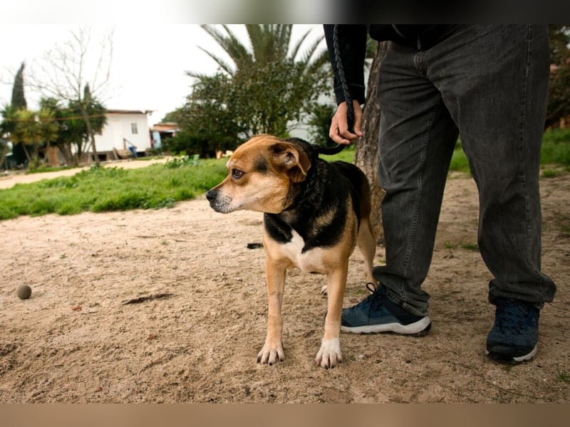 Sanfte Malika - soll nach schweren Zeiten endlich etwas Glück finden !!
