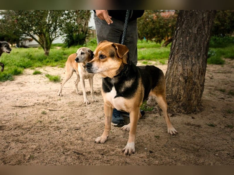 Sanfte Malika - soll nach schweren Zeiten endlich etwas Glück finden !!