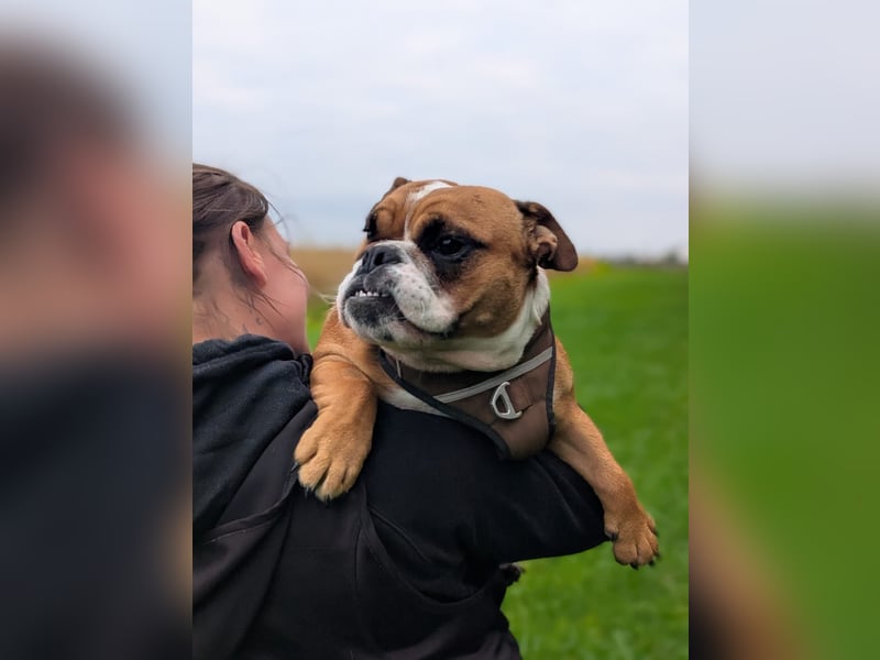 Betty sucht tolles zu Hause
