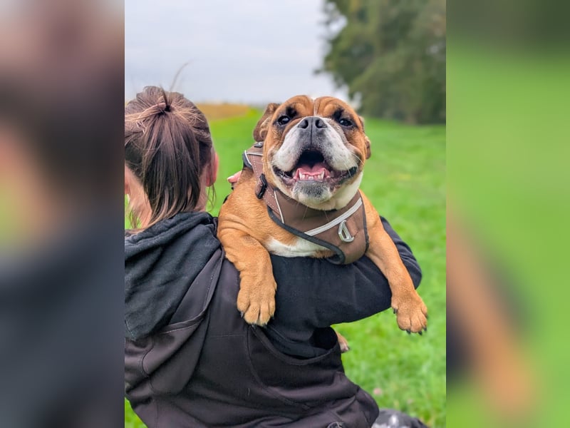 Betty sucht tolles zu Hause