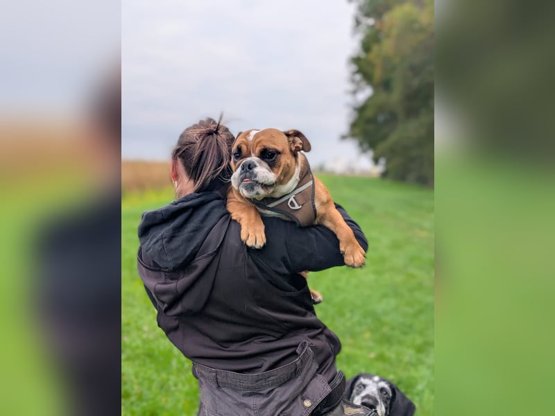 Betty sucht tolles zu Hause