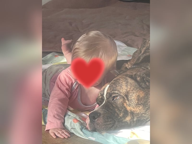 Dringend Babbel sucht