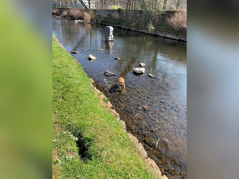 OEB DRINGEND ABZUGEBEN