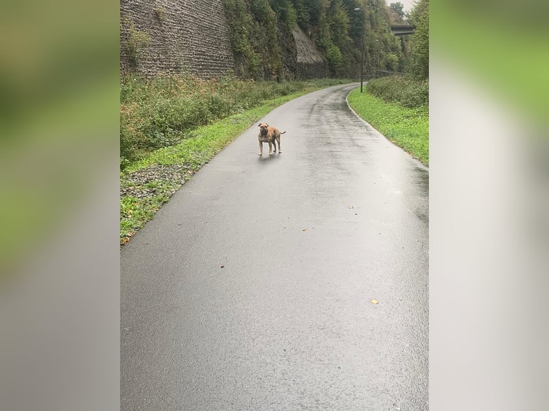 OEB DRINGEND ABZUGEBEN