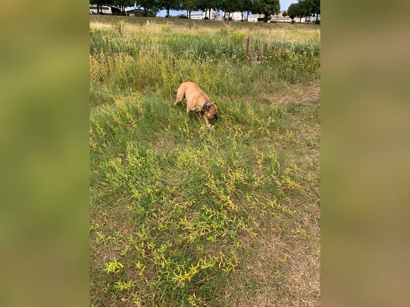 OEB DRINGEND ABZUGEBEN