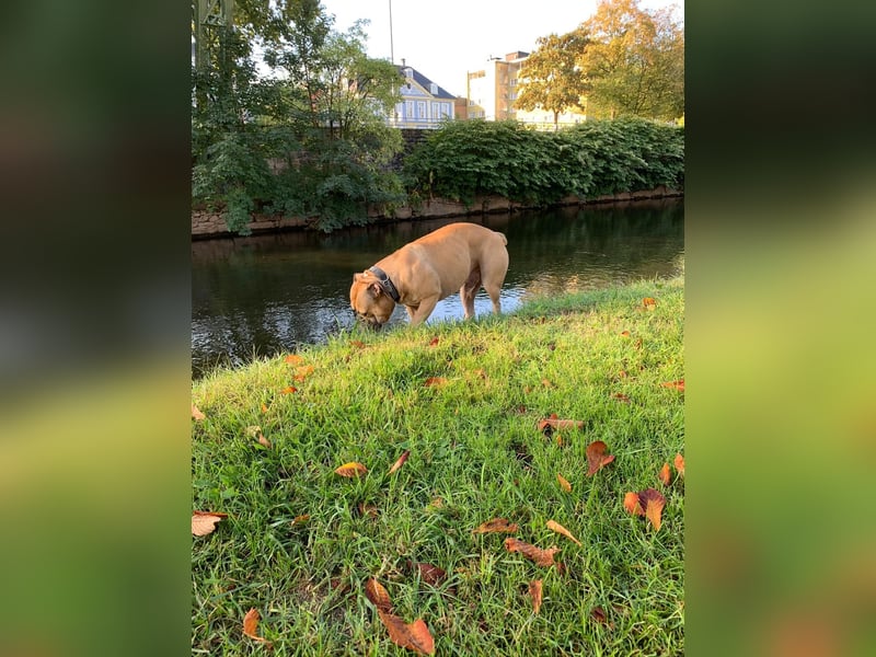 OEB DRINGEND ABZUGEBEN