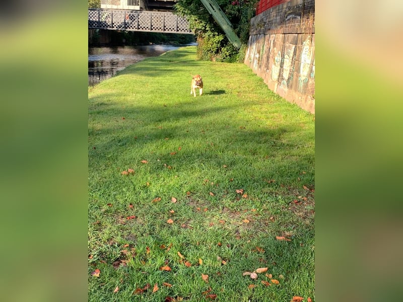 OEB DRINGEND ABZUGEBEN