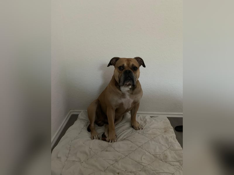 OEB DRINGEND ABZUGEBEN