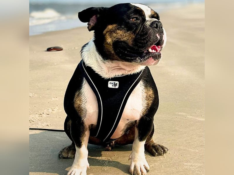 Olaf - ist freundlich&offen Menschen gegenüber