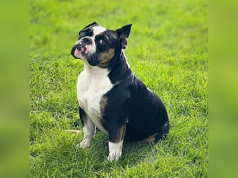 Olaf - ist freundlich&offen Menschen gegenüber