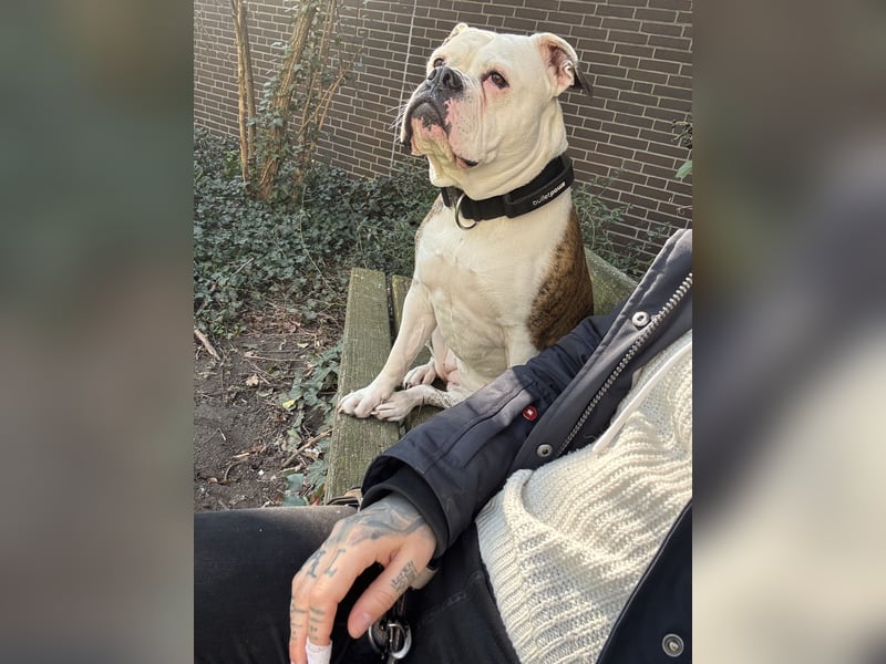 OEB Luna sucht neues zu Hause