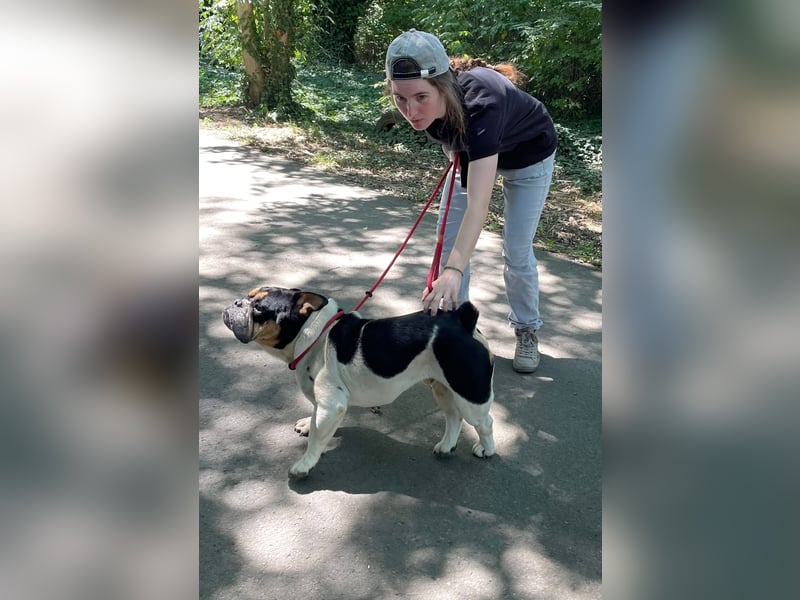 Jockey , unkompliziert und freundlich