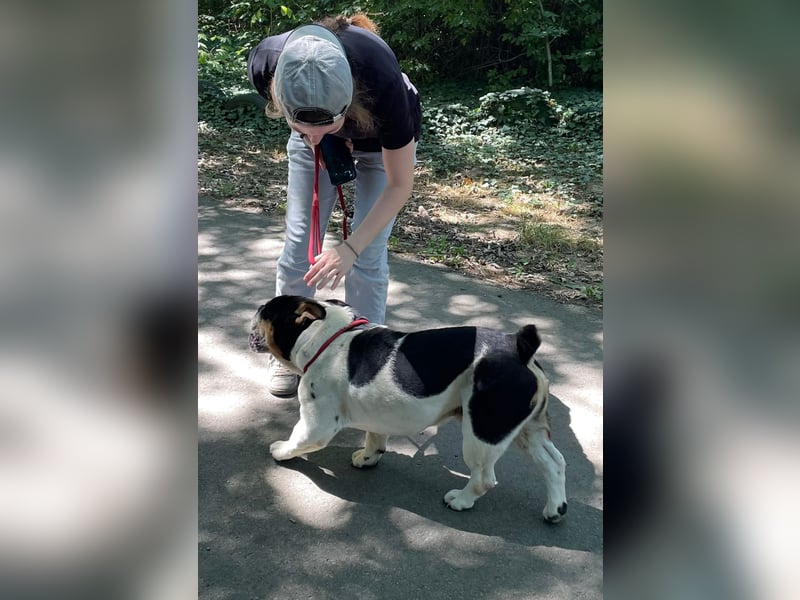 Jockey , unkompliziert und freundlich