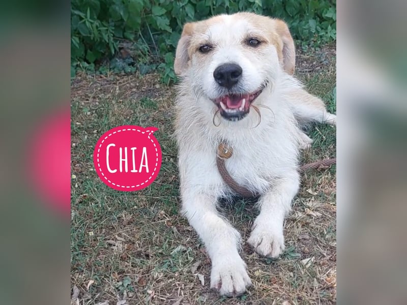 Chia ein besonderes Mädchen