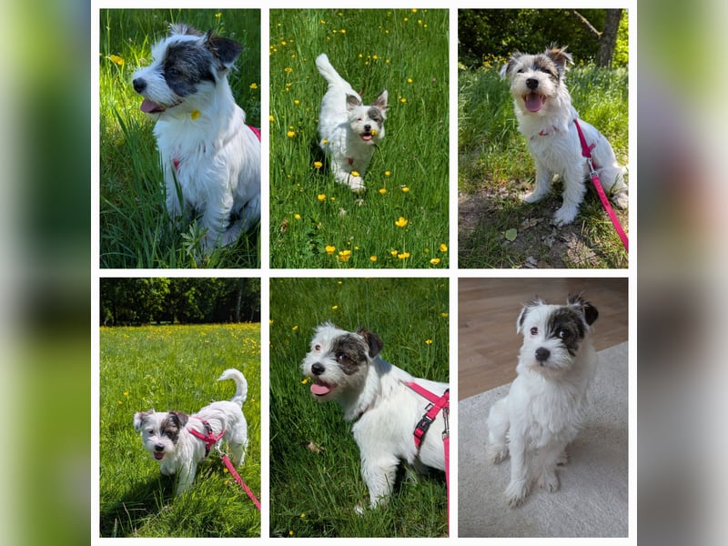 Gina - PLZ 53119 Bonn