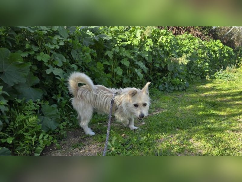 Remino - Klein UND Oho !!