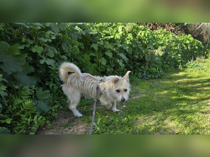 Remino - Klein UND Oho !!