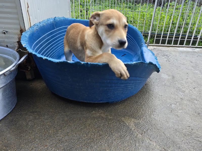 Leda: voller Lebensfreude