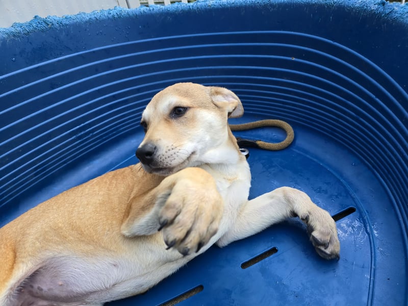 Leda: voller Lebensfreude