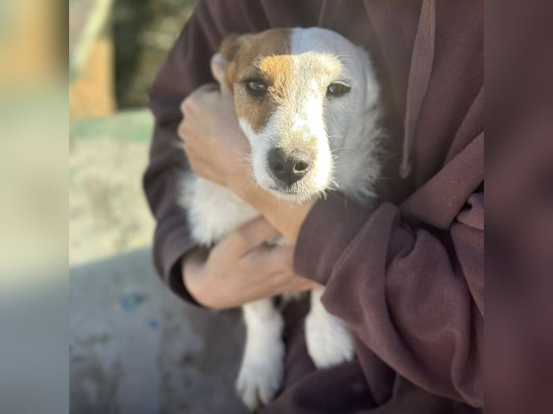 Andrija ein winziger Engelchen Andrija ein winziger Engelchen